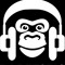 DJ Beestig