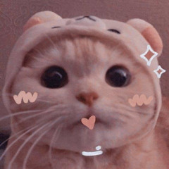 motchutsugar