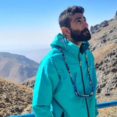 ali aslani