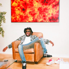 lilvibevamp