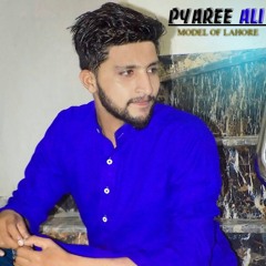 User 246420913