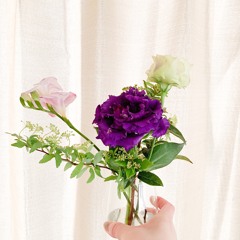 Kazue Shioda
