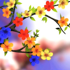 Hafsa Abdo