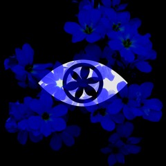 BlueEyedGrass