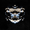 Qualia