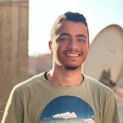 Ahmed Ehab Yousef