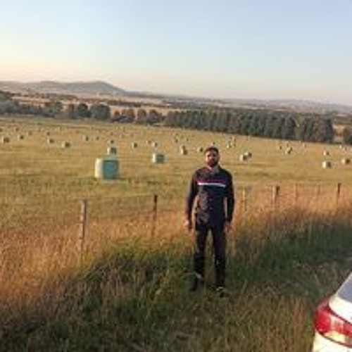 MANI MANN - MERE PIND (DjPunjab.Com)