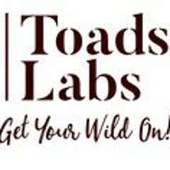 Buy Wildcrafted Chaga & Turkey Tail Mushrooms Online | Toadstool Labs