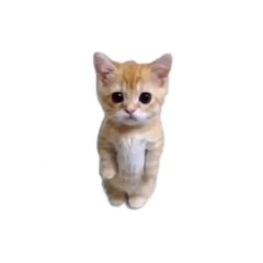 qtManny