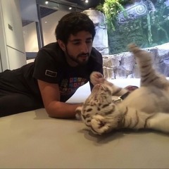 Abdullah Alhashmi