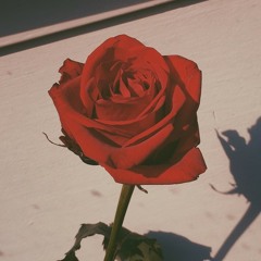 duwls_xo