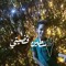 Mostafa Abdelnaby