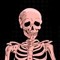 Lo-Fi Skeleton
