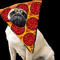 Pugeroni Pizza