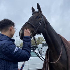 Elias Westergren Bengtsson