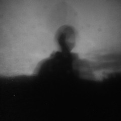 David Stelfox