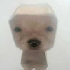 감자