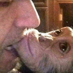 ApeMode