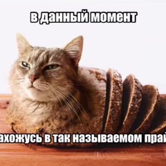 Pizdec