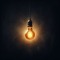 Lightbulb