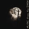 MusicFromTheDark +++