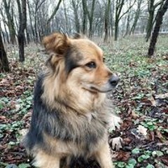 Catalin Meiu