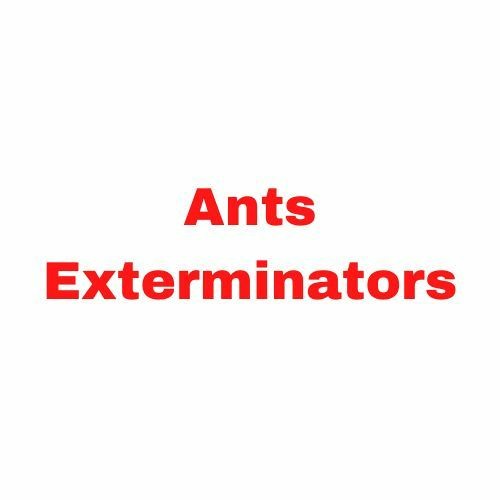 Ants Exterminators’s avatar
