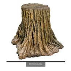 lil tree trunk