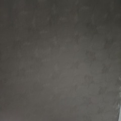 محمدسلیم شاہ