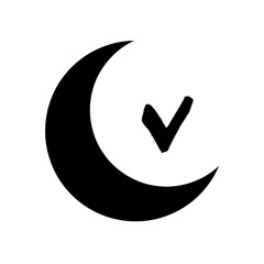Vincent Moon / Petites Planètes