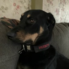 RandyKennethCipriano8