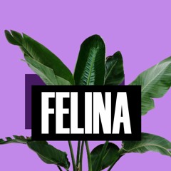 Felina Music