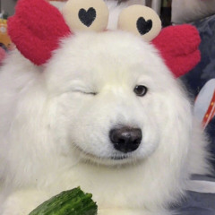 Mark Yeh 1