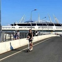 Птера Киммерийская