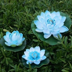 yamashita riku