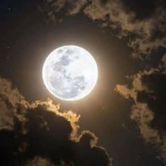 ساره رضا