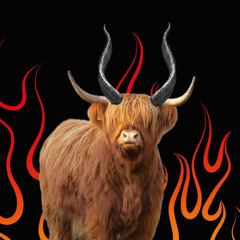 Demon’n Yak