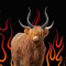 Demon’n Yak