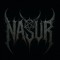 NASUR