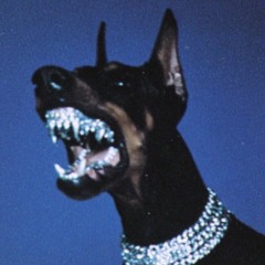 Flexxx (Chapo)