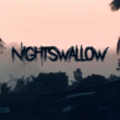 Nightswallow