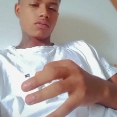 thzin mj 1533