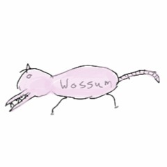 Wossum Records