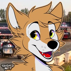 Dyron the Racing Husky