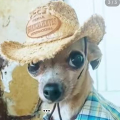 Mexican shinron