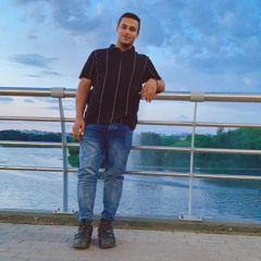 تهامى السيد