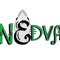 Nedva