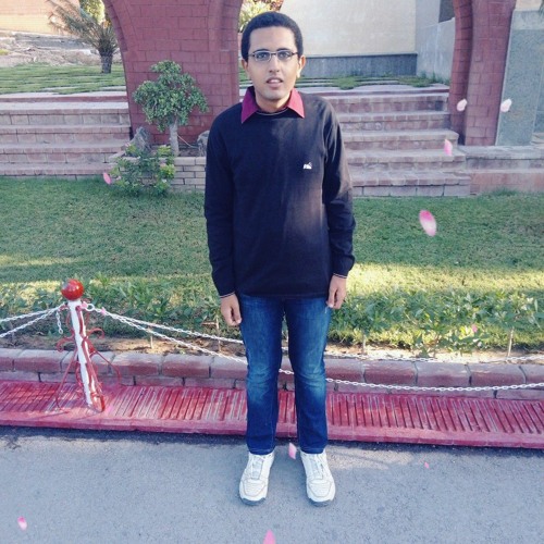 Ibrahim Hany’s avatar