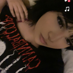 </333
