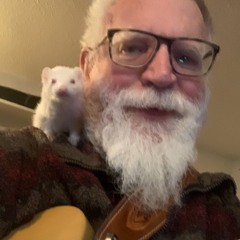 Rogue Apo'strophe - My Cat Thinks I'm a Loser